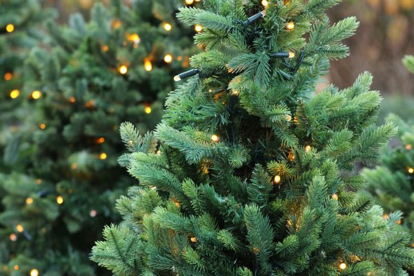 Acquista alberi di natale artificiali noel gourmand per il tuo stile