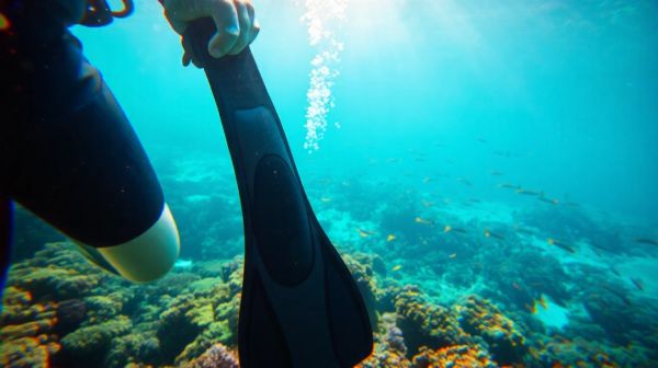 Le migliori pinne per apnea e pesca subacquea da considerare